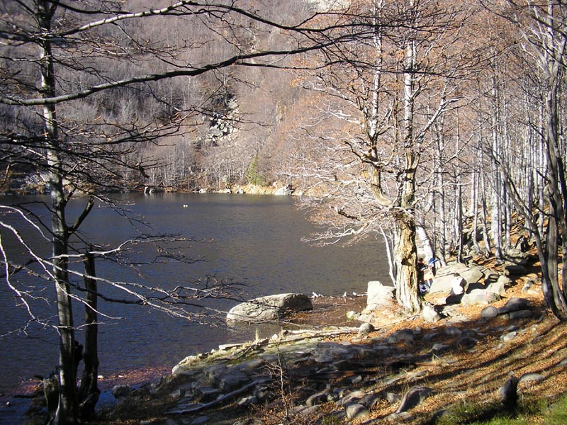 View of Lago Scuro Parmense from its outlet in late autumn.