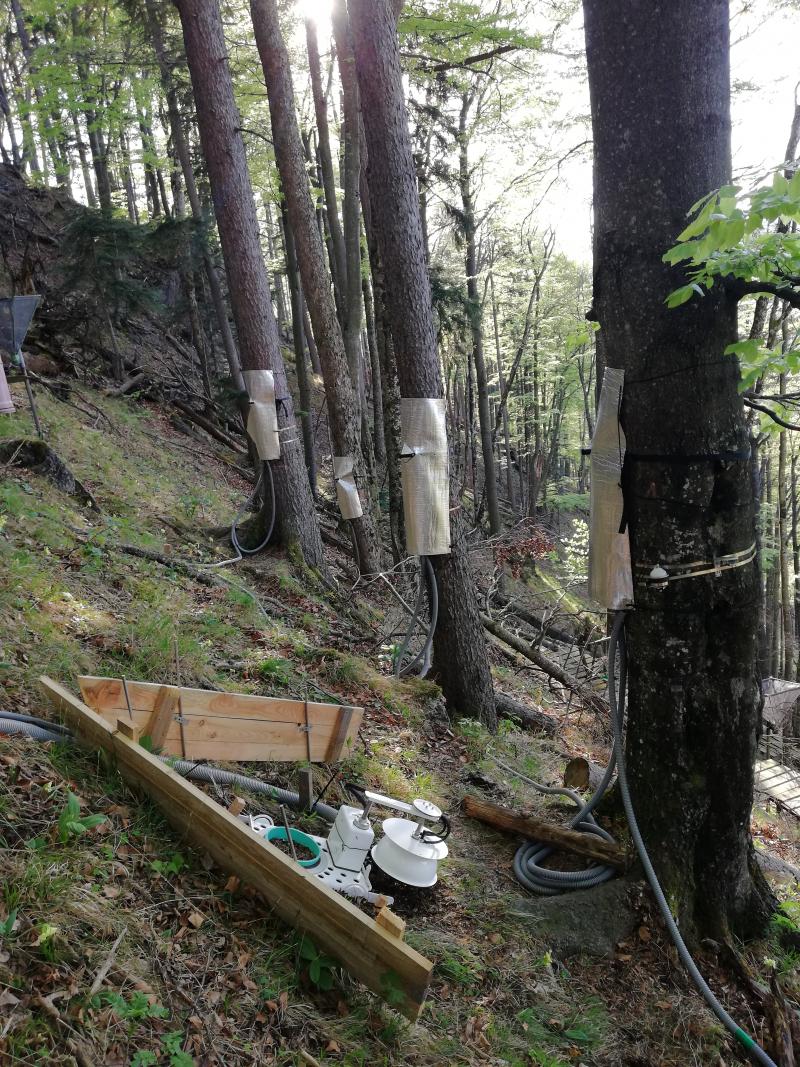 Soil respiration and sapflow devices at Intensive Plot 2 LTER Zöbelboden