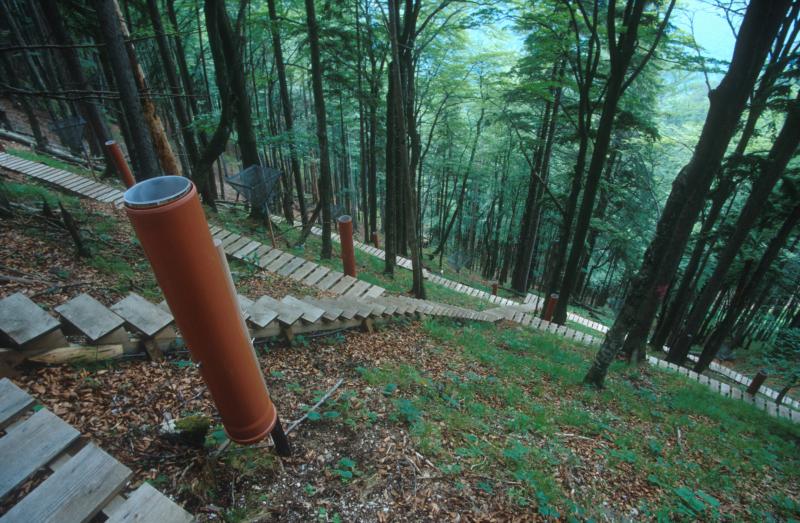Intensive plot 2 mixed decideous forest at LTER Zöbelboden