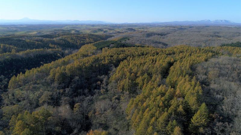 Drone landscape picture around the Shibecha branch of Hokkaido forest research station.
