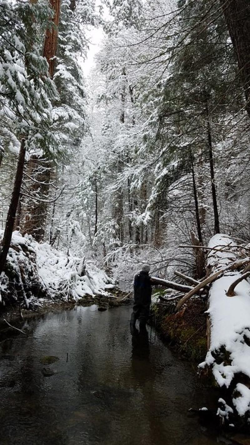 BIGC discharge, photo by: John Schneblen