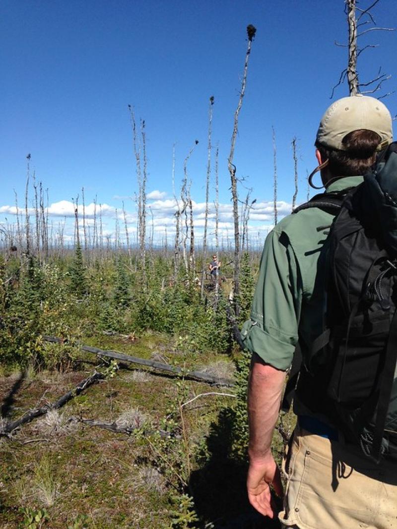 Chris Baird encounters the vegetation structure crew