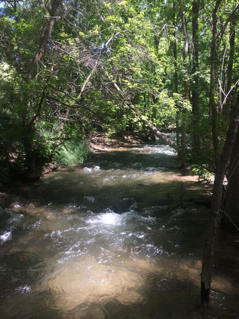 REDB Spring Flow 2017