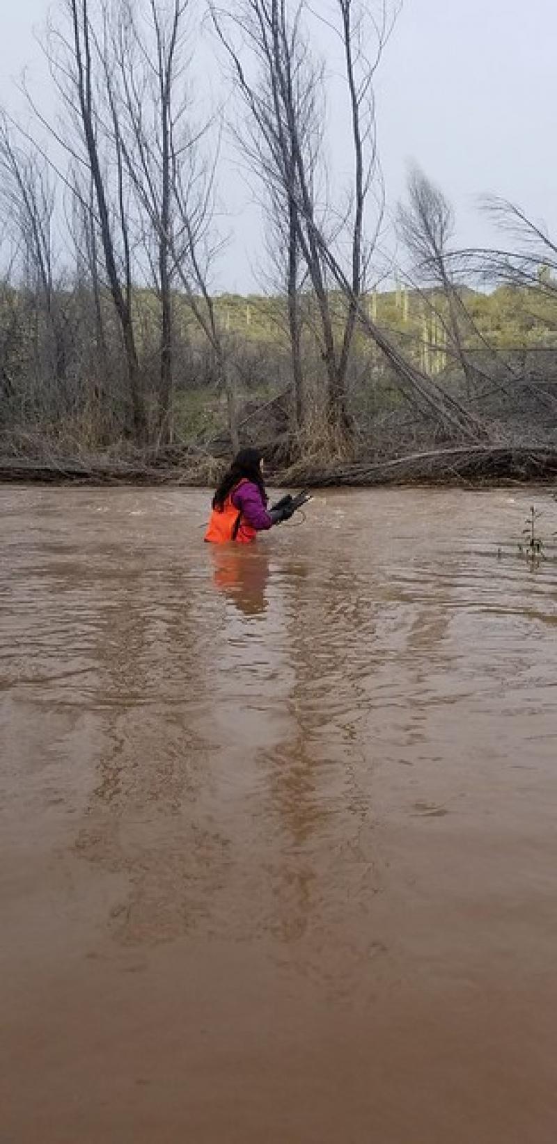 SYCA Stream Sampling after Heavy Rain