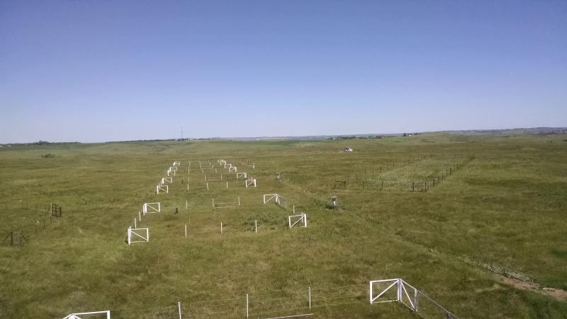 NOGP Soil Array