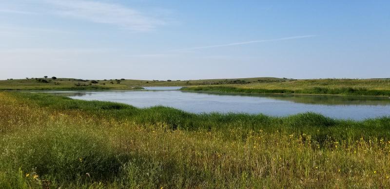 PRLA plant diversity training