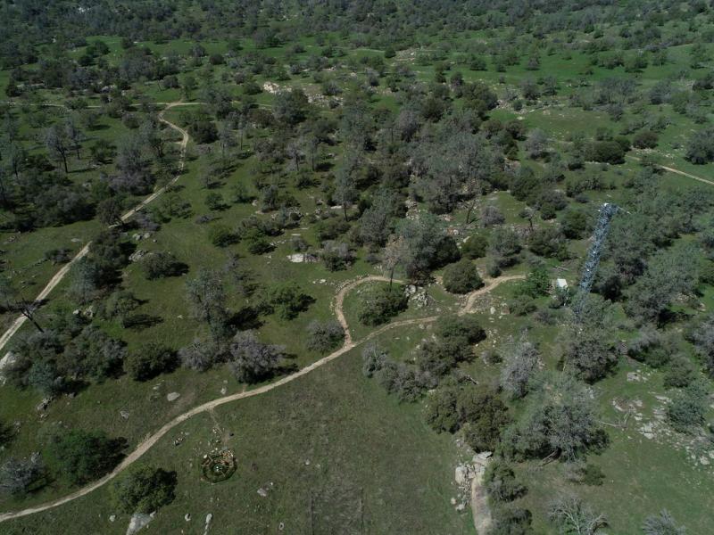 SJER tower from above