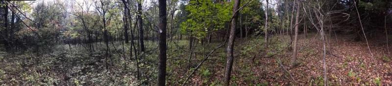 Two seasons, one sampling plot at UKFS