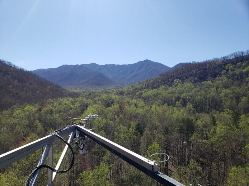 View of Mt. LeConte from GRSM tower (c) Clay Howard