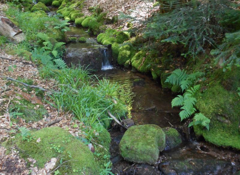 10 - La Maix in August 2019