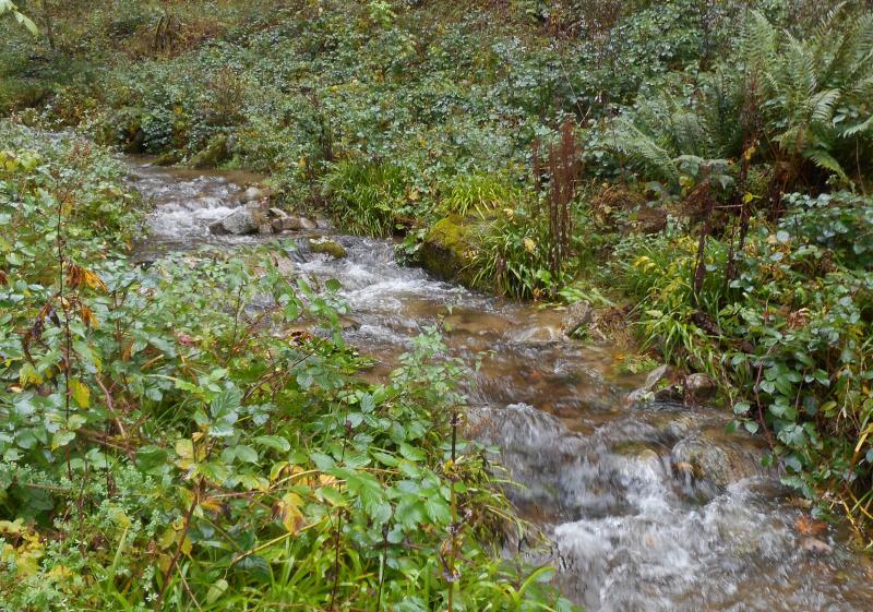 2 - La Hutte (Bussang)  in October 2019