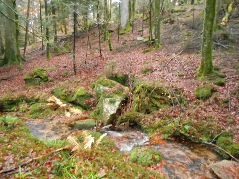 14 - Courbeligne in November 2019