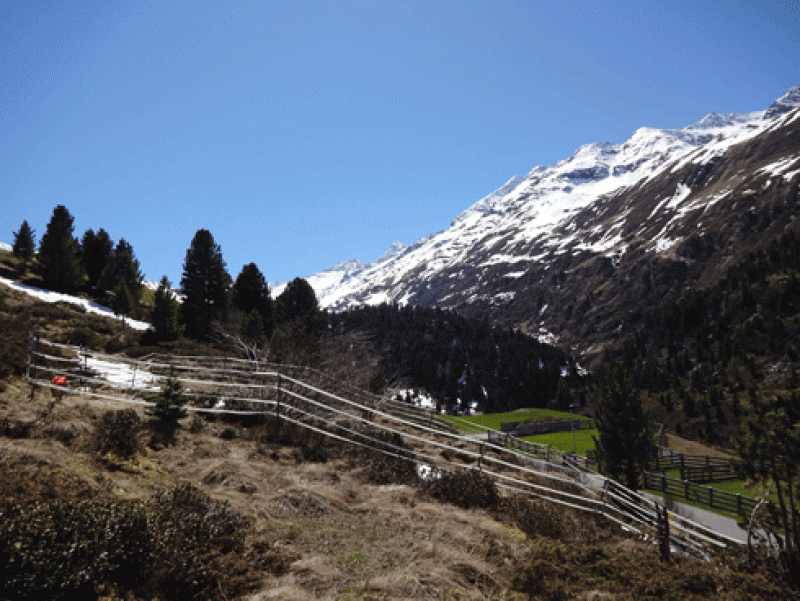 Observation Location Obergurgl, pasture (O-p)