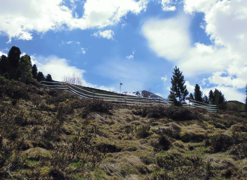 Observation Location Obergurgl, pasture (O-p)