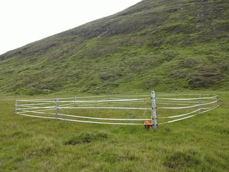 Observation Location Rotmoos Valley Bog Carex nigra (R-cn)