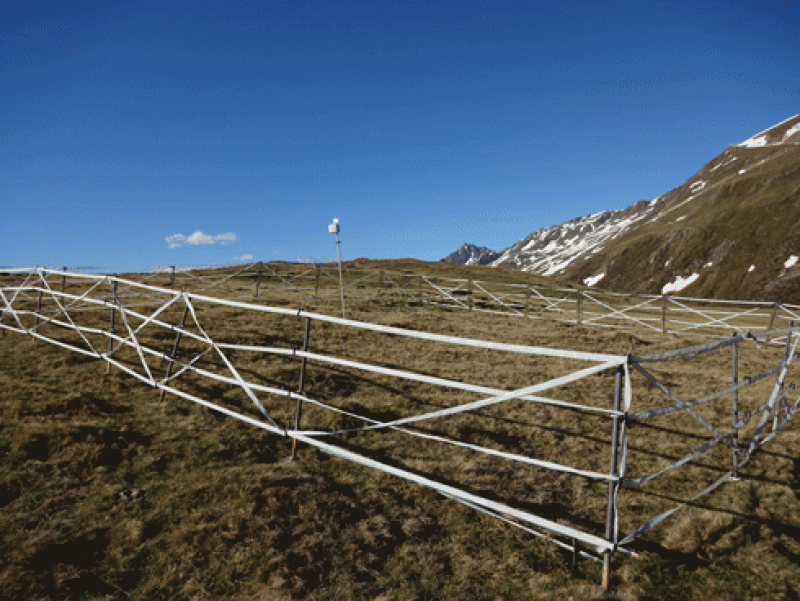 Observation Location Schoenwieskopf, big fence (S-bf)