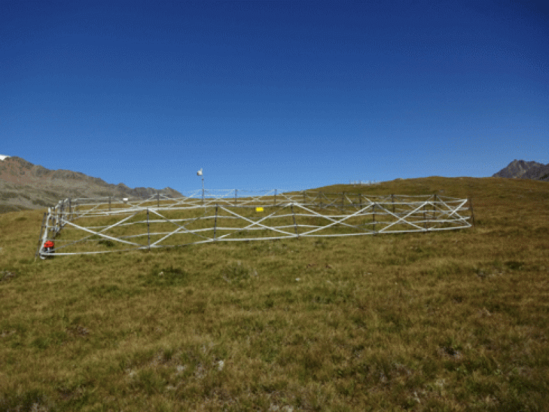 Observation Location Schoenwieskopf, big fence (S-bf)