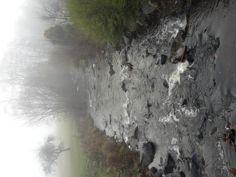 Traunbach by Ellweiler, lower part