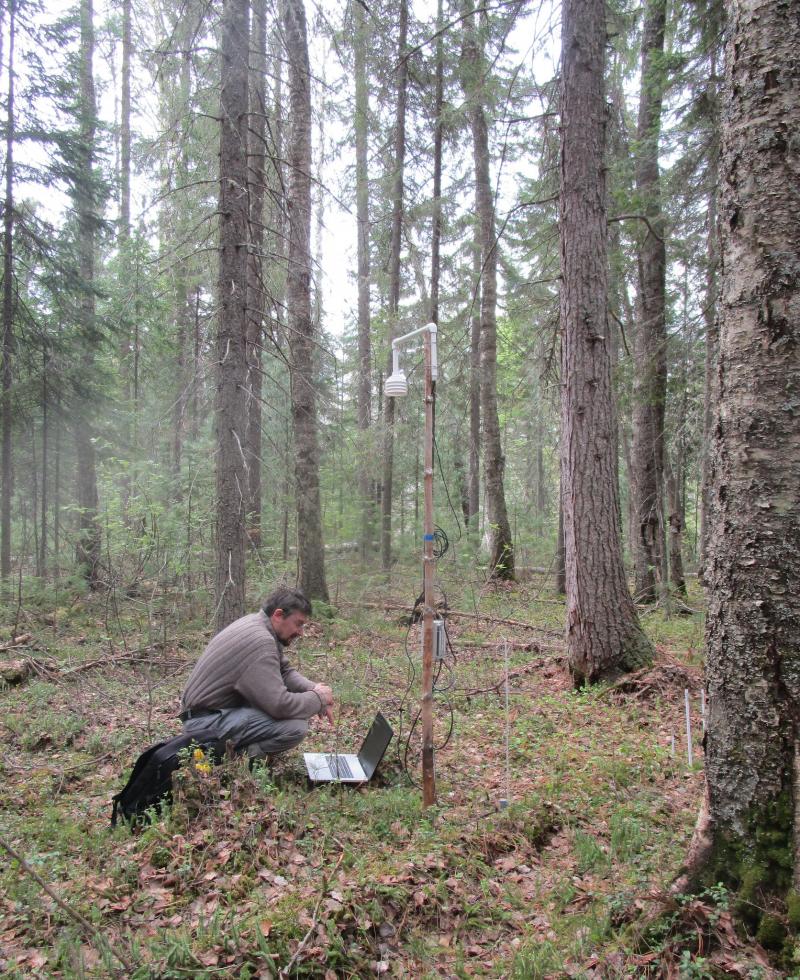 The installation site