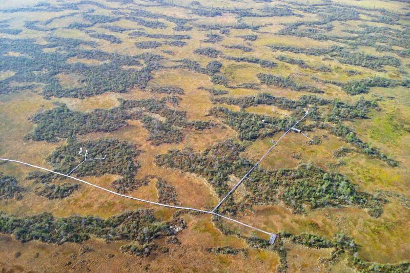 The location of the complex