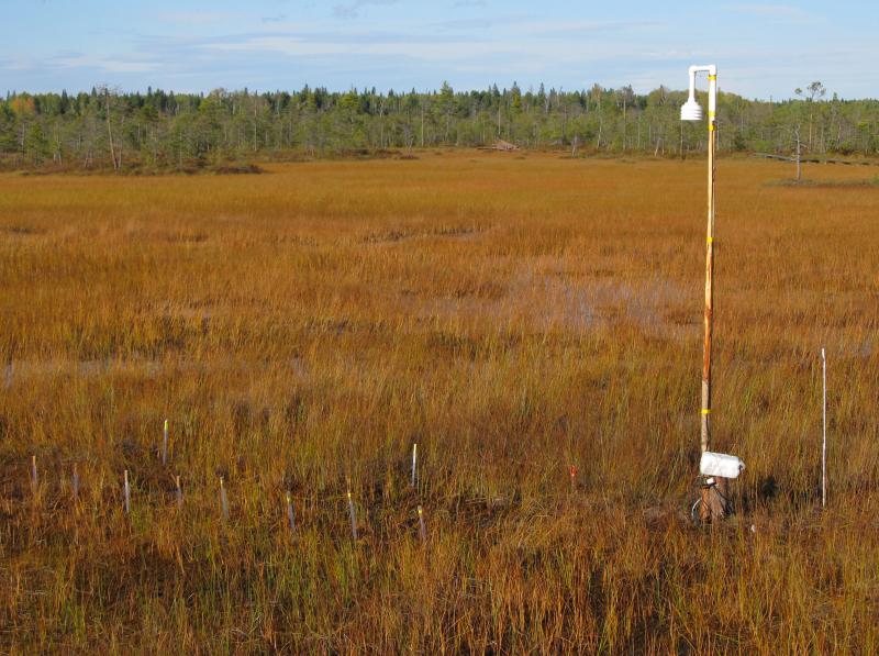 The complex installation place