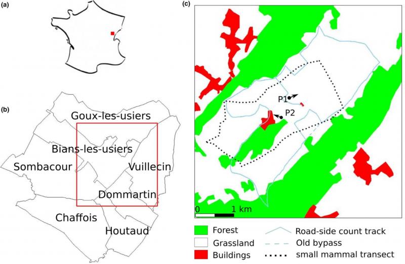 Location of the study area. (a) general location in France; (b) study area (red square) and communes it includes; (c) land cover, the roadside count track and the small mammal transect