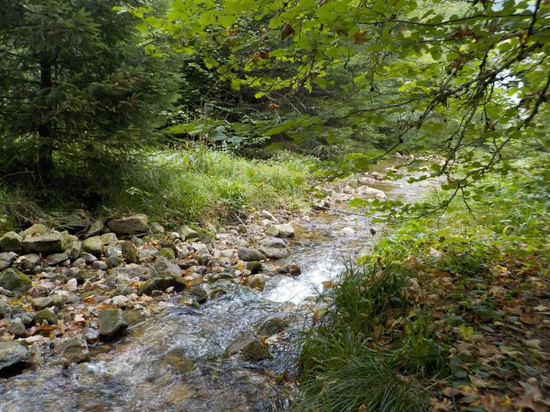 Cellet downstream sampling point (downstream the confluence with the Roulier) (August 17, 2021)