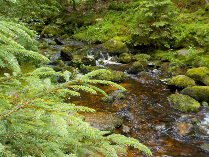 Haut Rupt sampling point (June 22, 2021)