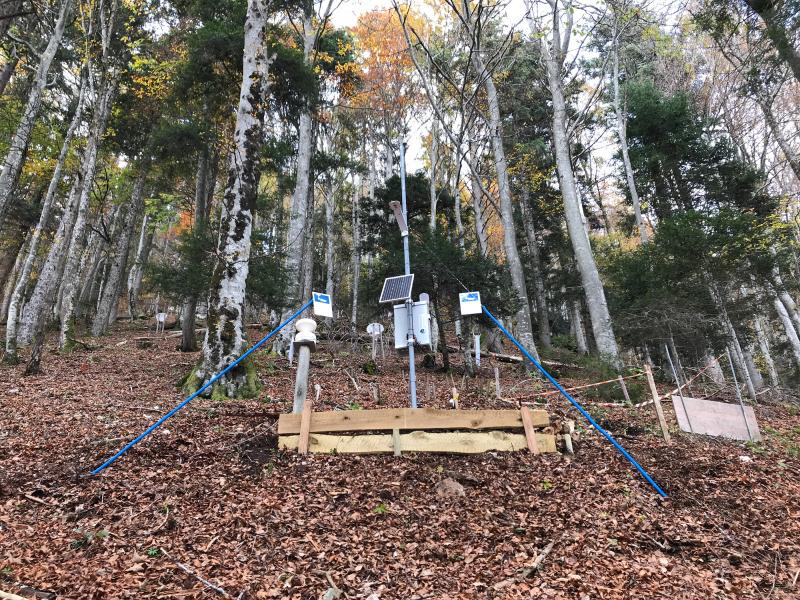 The new meteorological station in the stand of the LWF plot. Photo: Matthias Häni, 2021