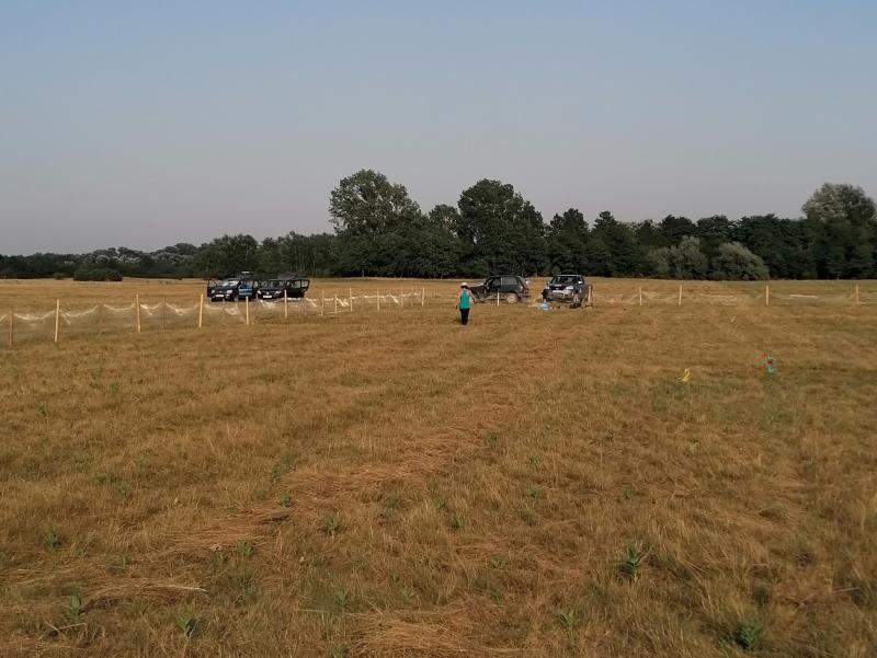 Researchers at the site