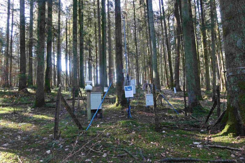 The new meteorological station in the stand of the LWF plot. Photo: Oliver Schramm, 2021