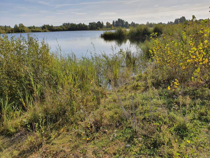 Reeser Meer Süd, mesotrophic gravel pit lake (c) Dominik Scepanski