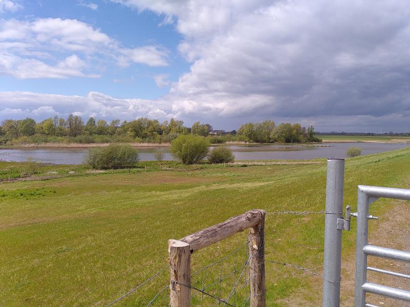 Bienener Altrhein, Rhine oxbow (c) Alex Schönle