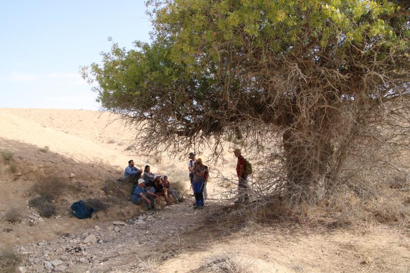 Field trip in the platform