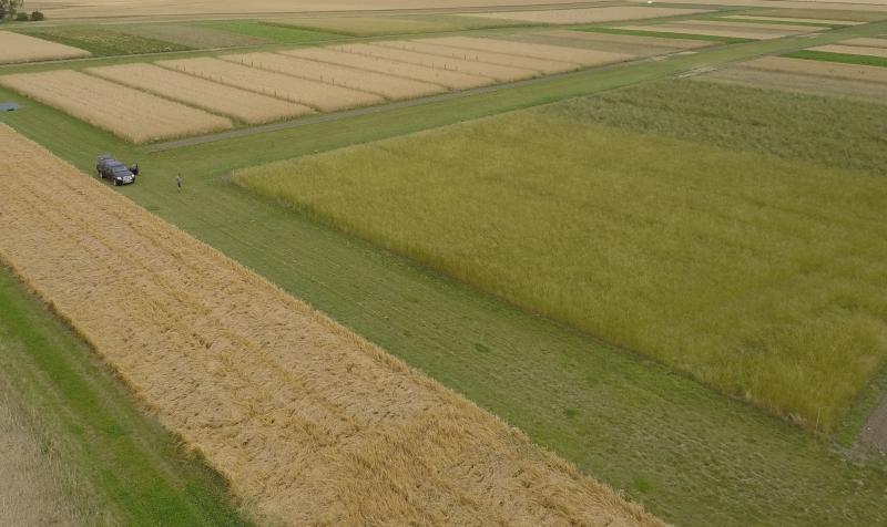 View of the fields at Lönnstorp from above