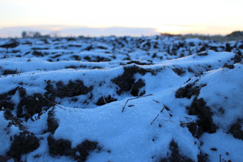 Winter at Lönnstorp. Photographer: Linda-Maria Mårtensson