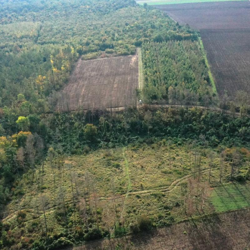 Aerial picture of the site with all subplots (2019)