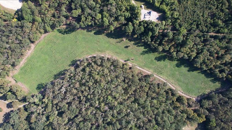 Aerial view of the Klosterwald (2022)