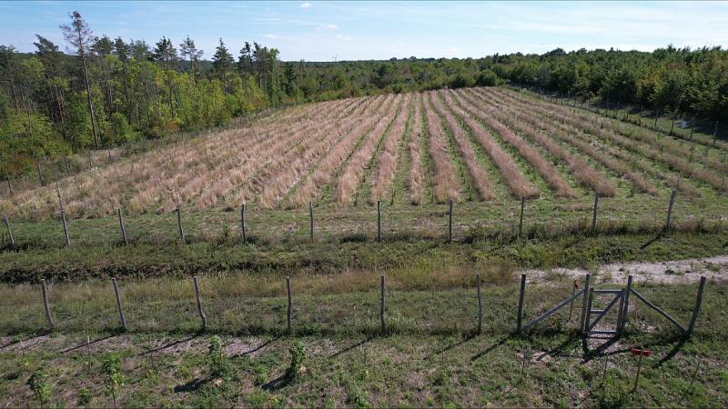 Subarea 1 overview (2022)