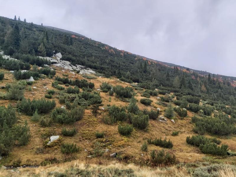 Typical mixed landscape