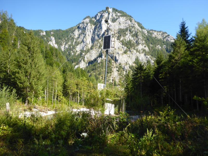 webcam pole at &quot;Hellichter Stein&quot;