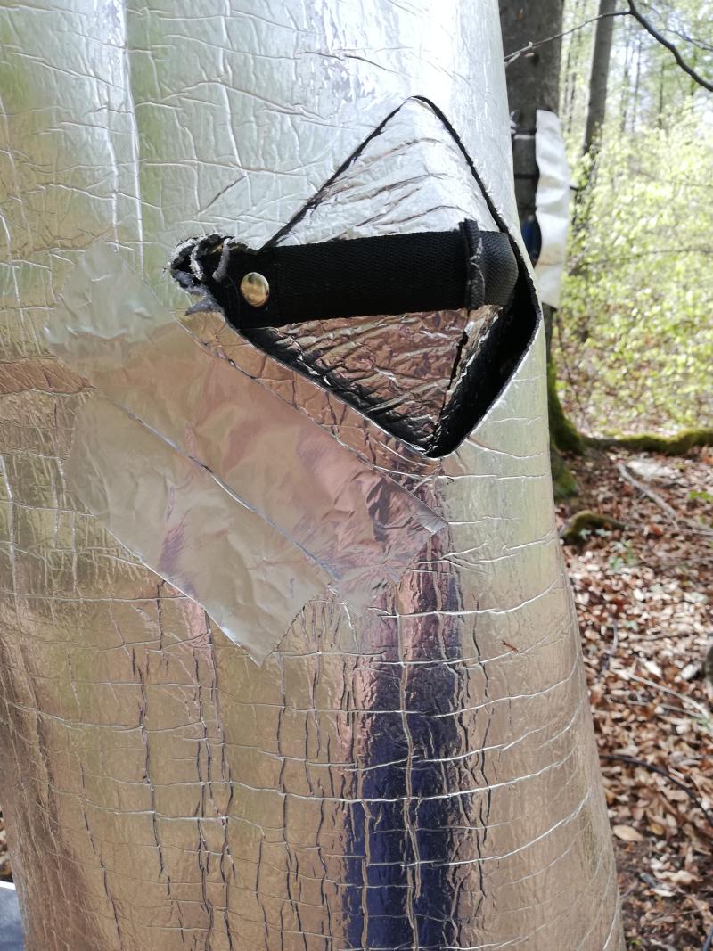 sap flow measurement facility; thermic shield (2021)