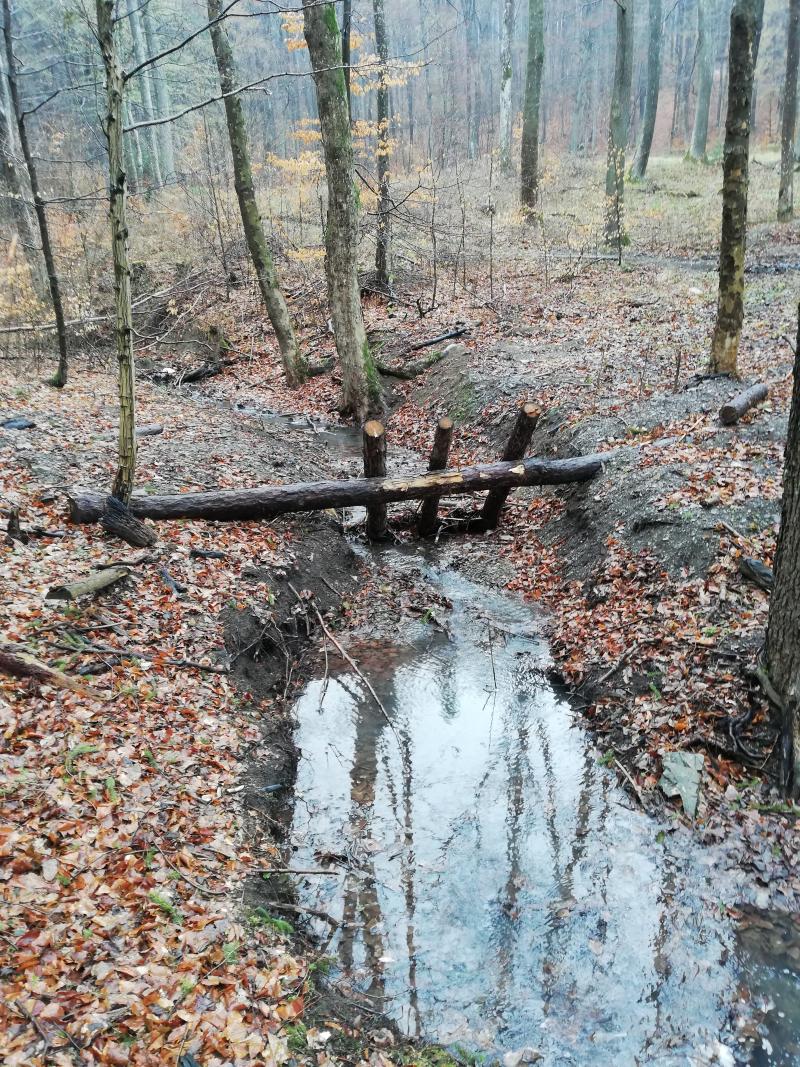 rake; measuring weir (2022)