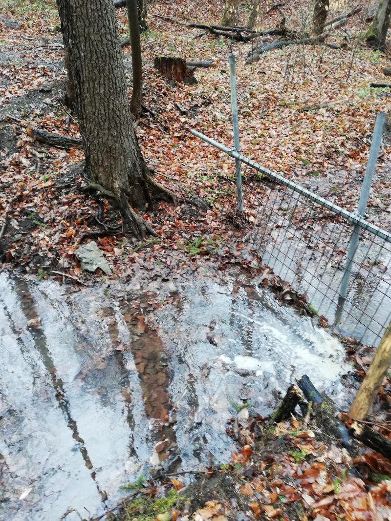 rake; measuring weir (2022)