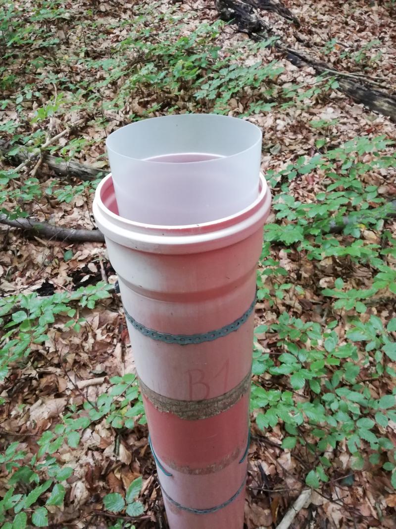tree stand precipitation collector (2023)