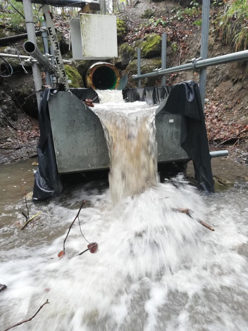 flooding event; high water level (2023)