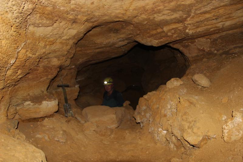 Movile cave_gallery