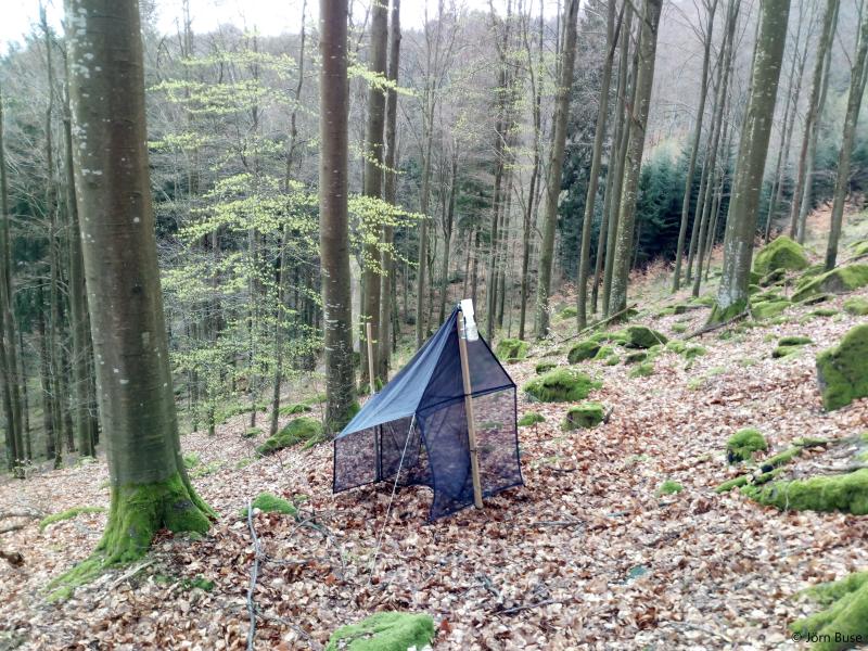 Malaise trap