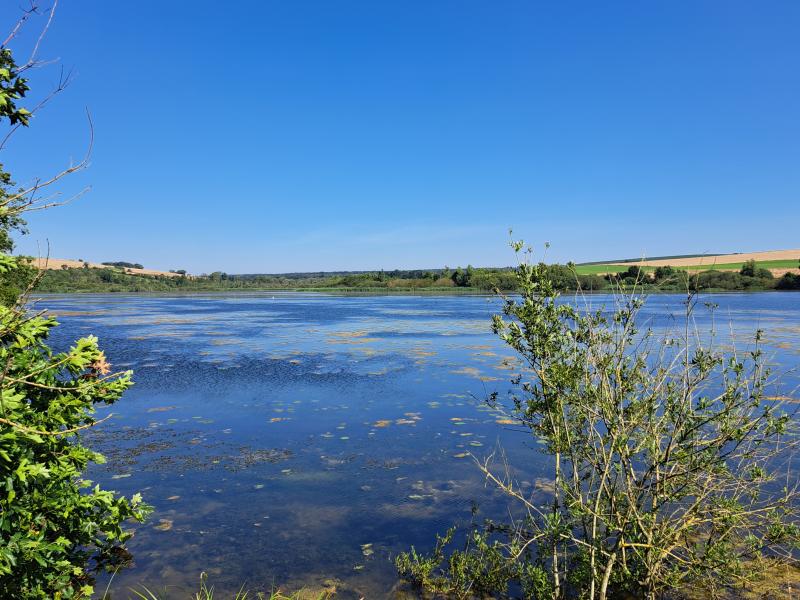 Lac of Bairon, touristic destination and wildlife reserve with water quality problematics