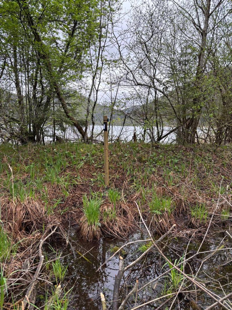 AudioMoth device installation 2